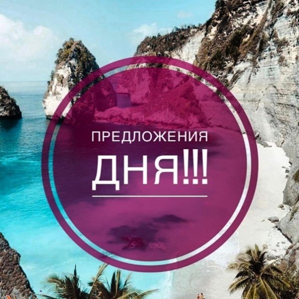 Предложение дня