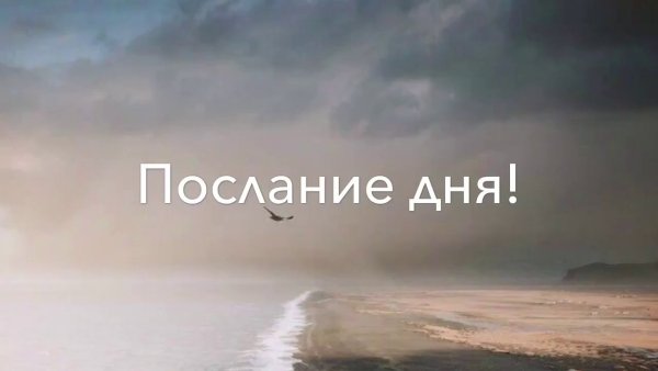 Послания Вселенной на каждый день