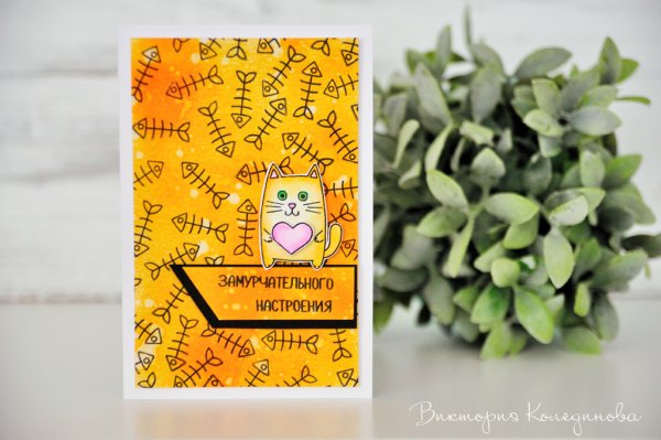 Замурчательный котик