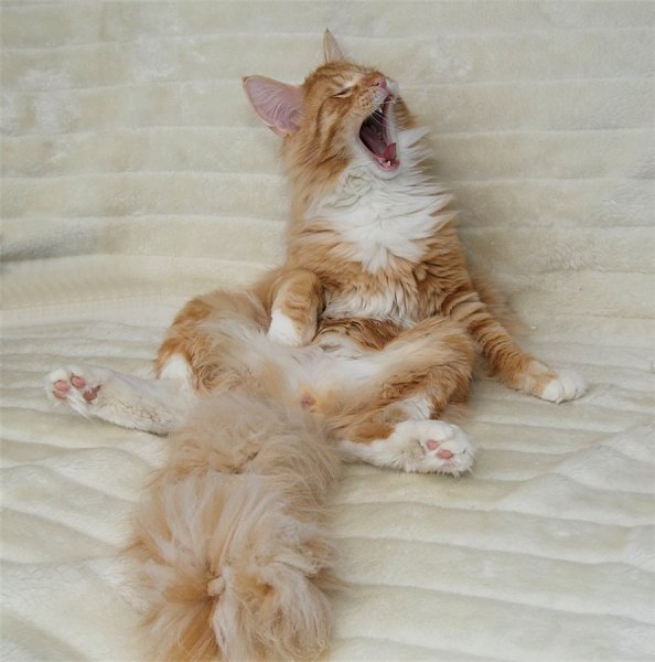 Открытки с самым прекрасным днем