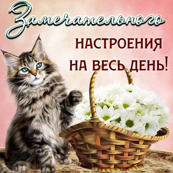 Доброе утро хороших выходных