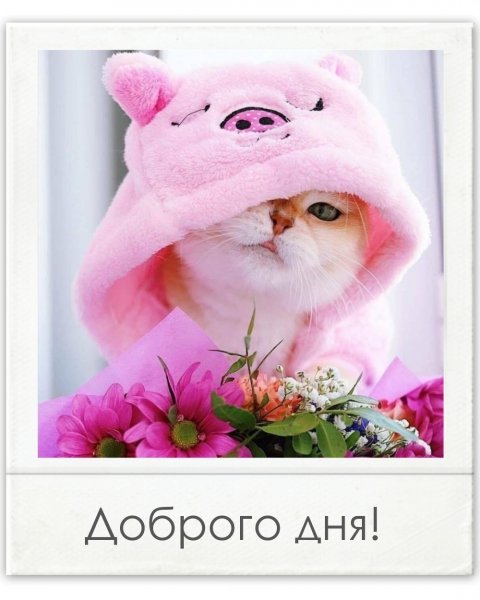 Замурчательный день