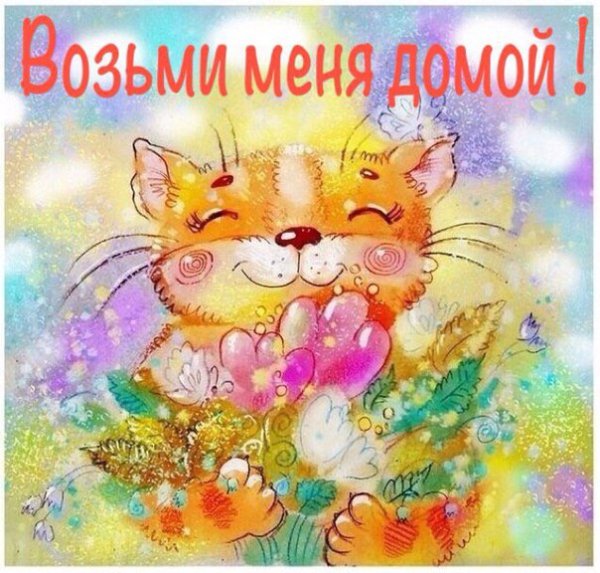 Замурчательного дня