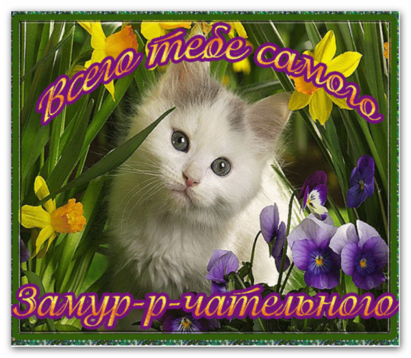 Замурчательные праздники