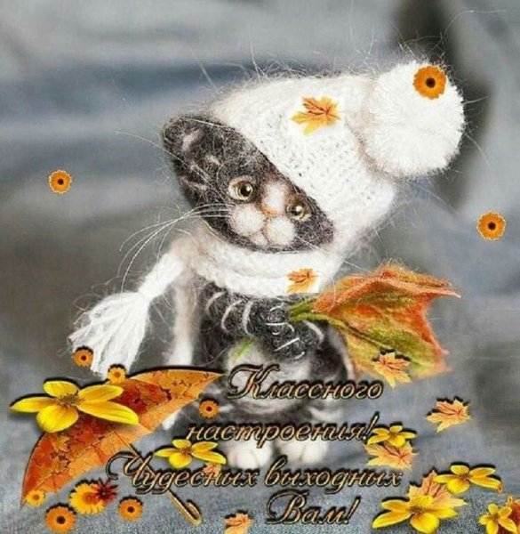 Замурчательный день