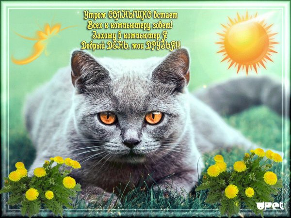 Замурчательное настроение