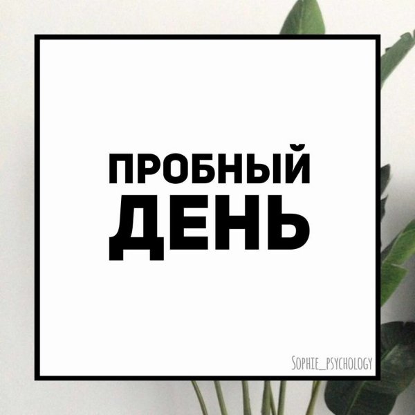 Пробный день