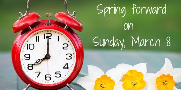 Пробный день