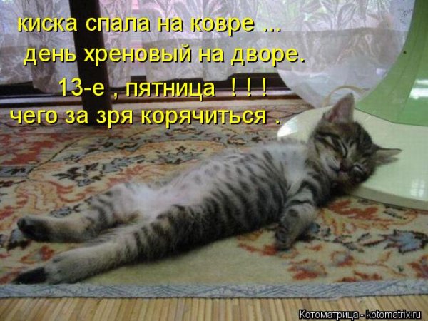 Хреновый день