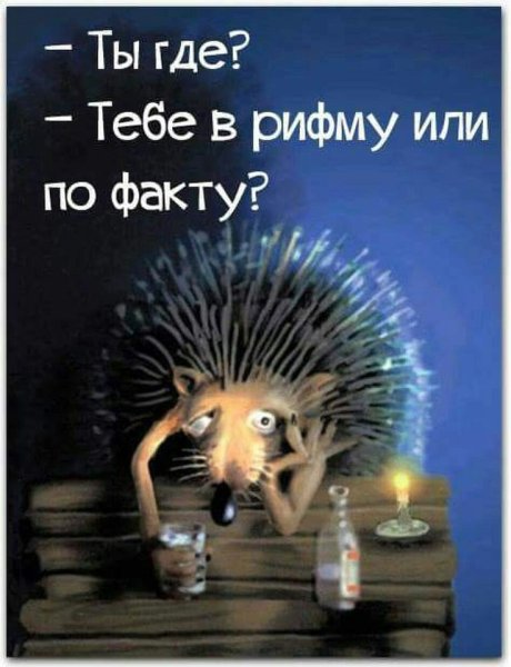 Пьяный Ёжик