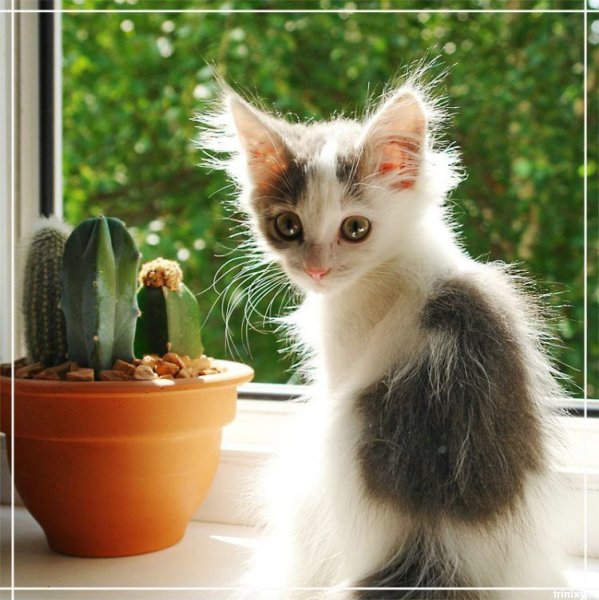 Фото когда на душе хреново