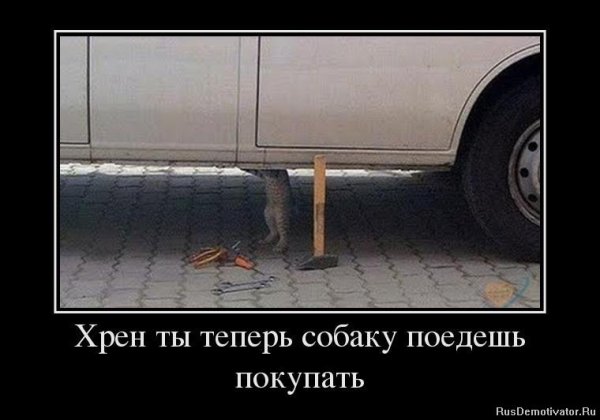 Хреновый юмор