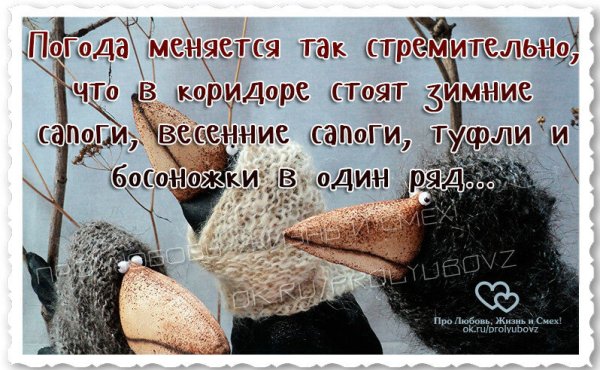 Цитаты про холод