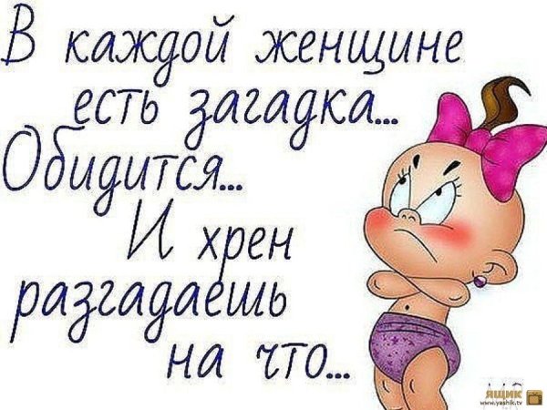 Смешные цитаты про женщин