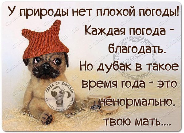 Высказывания о погоде