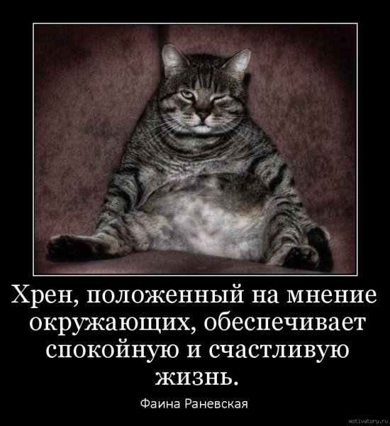 Демотиваторы пофиг