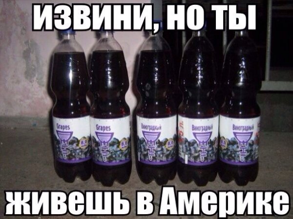 Виноградный день