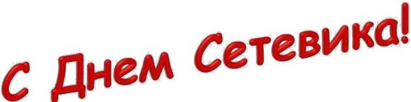 Сетевики праздник