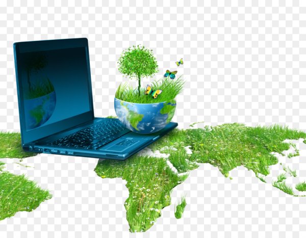 С днем сетевика картинки