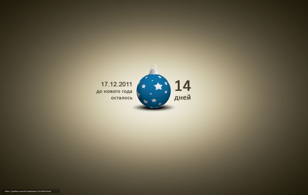 До нового года осталось 14