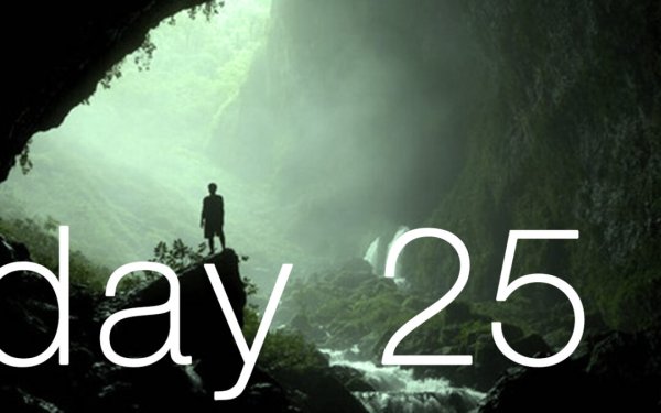 Осталось 25 дней