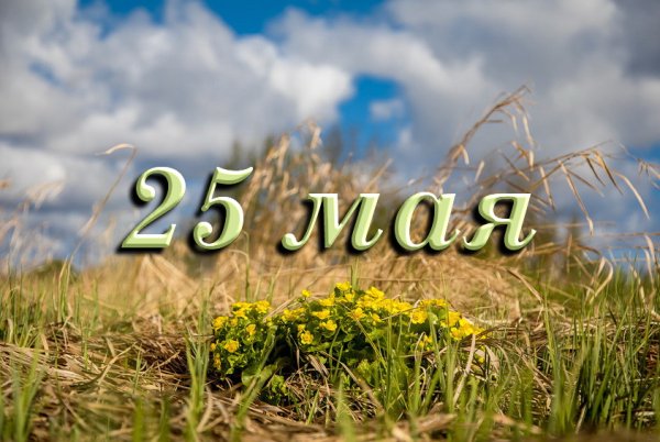 Цифра 25