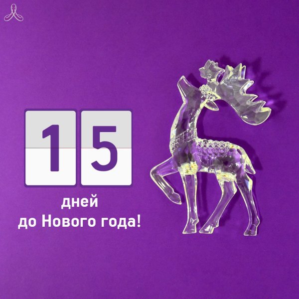 15 Дней до нового года