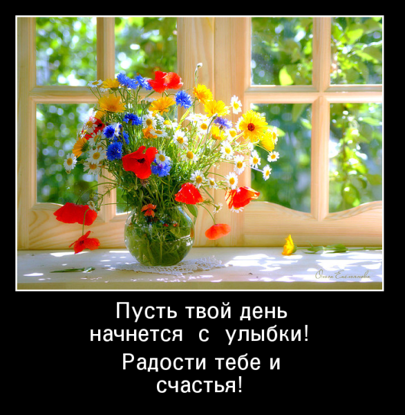 Добрый день демотиваторы