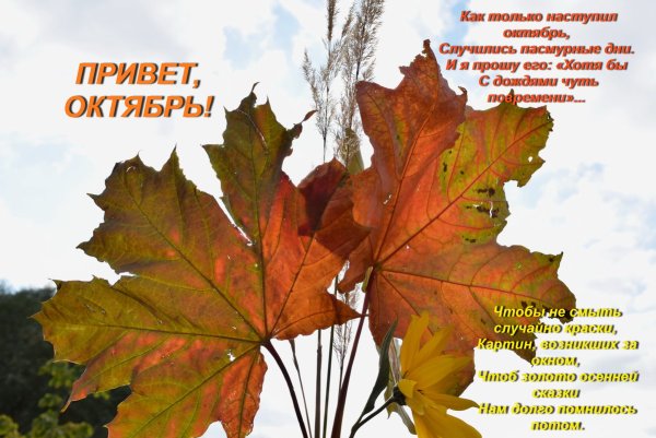 Открытки с началом октября