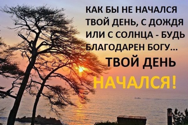 Высказывания про новый день