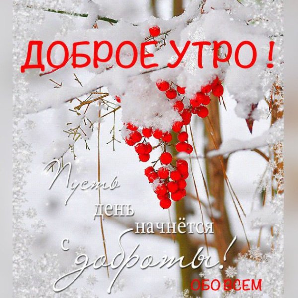 С первым днем зимы доброе утро