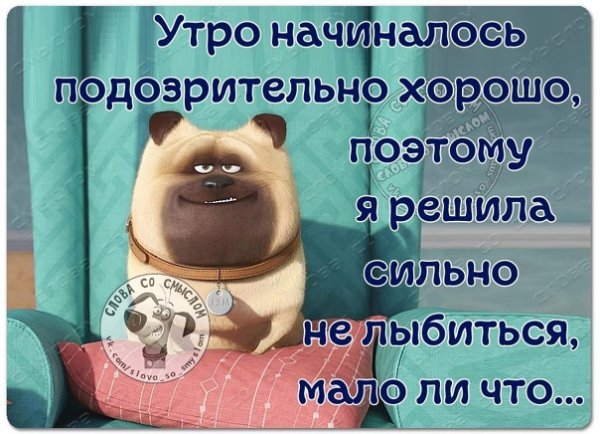 Наступило утро