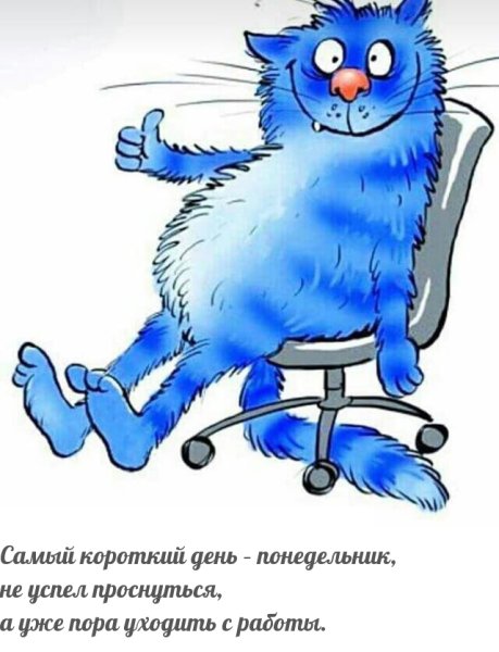 Синий кот на белом фоне