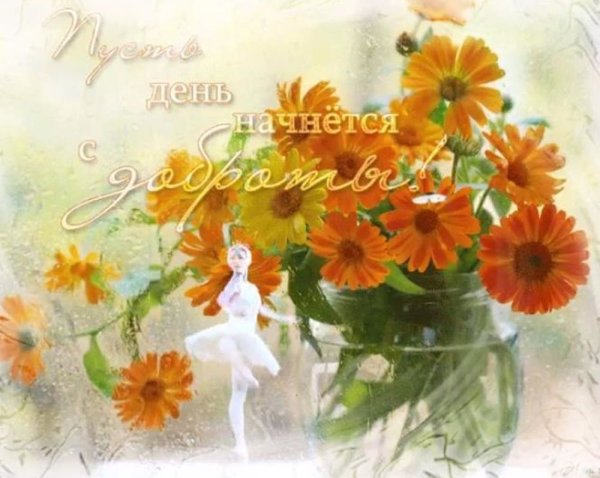 Пусть день начнется с доброты