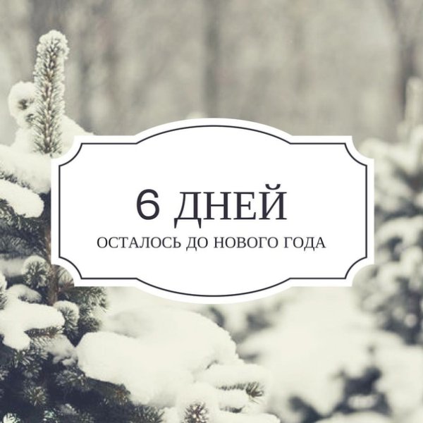 Осталось семь дней Мем