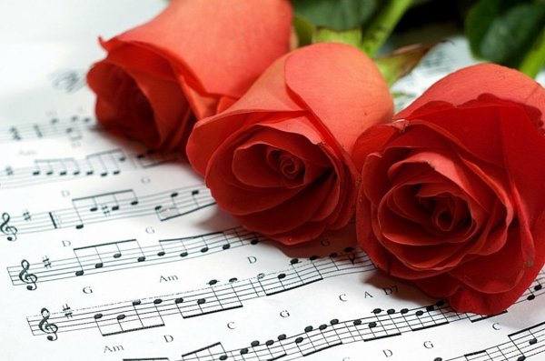 Розы и Ноты