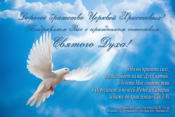 День Святого духа открытки