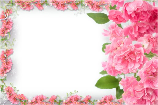 С днём рождения сестра