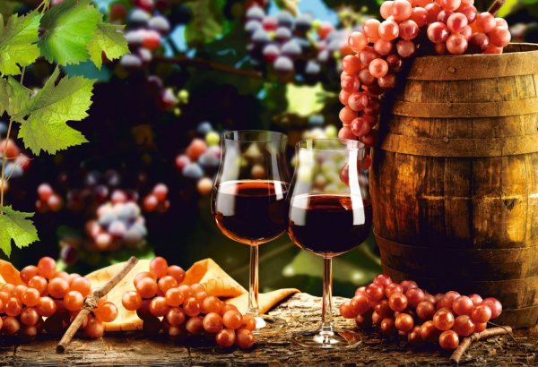 Виноград Лидия вино