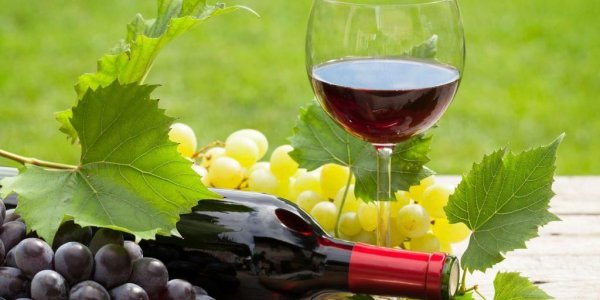 Виноград Мускат вино