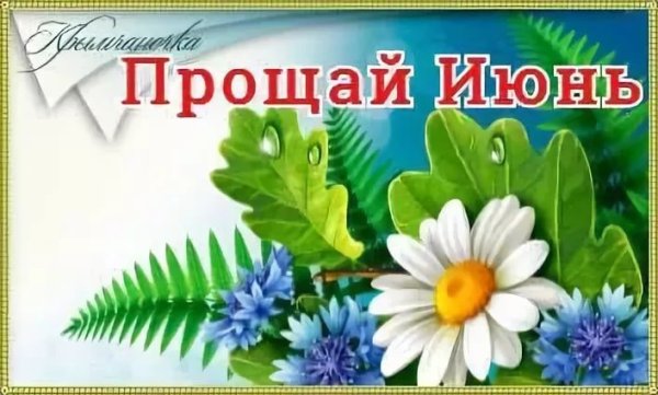 До свидания июнь