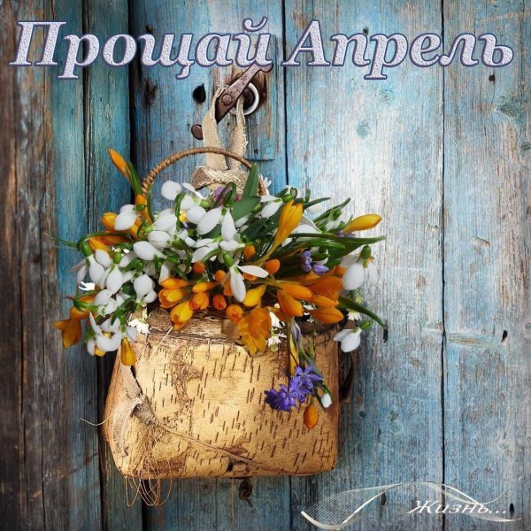 До свидания март апрель Здравствуй