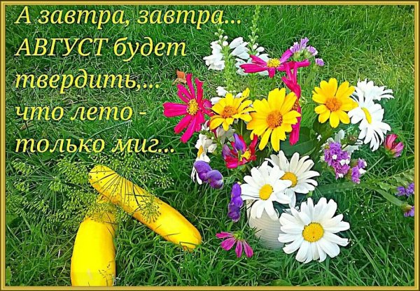 Прощай июль