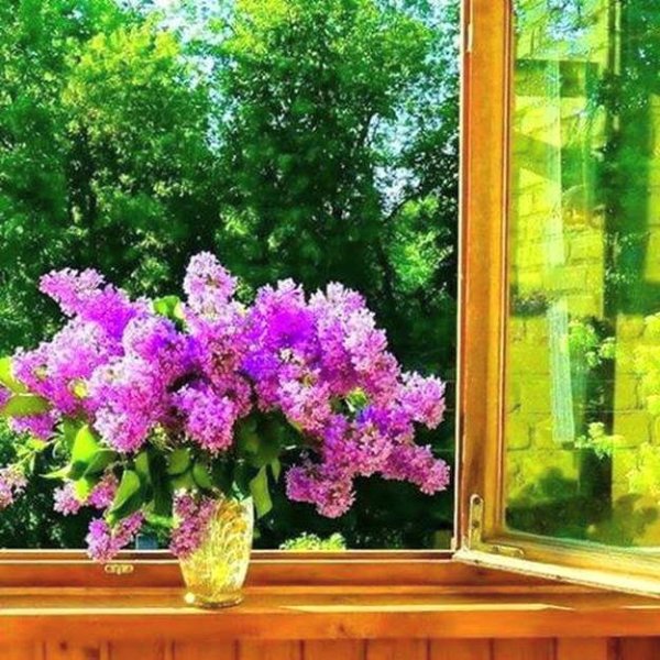 Ну что проснулись с добрым утром