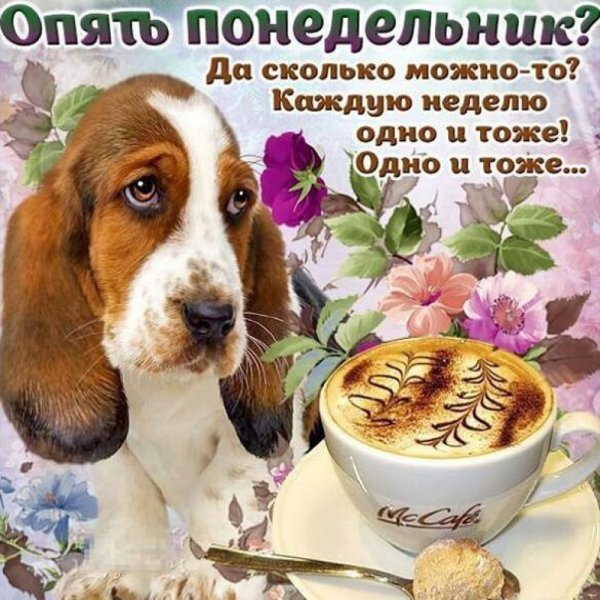 Поздравление с понедельником