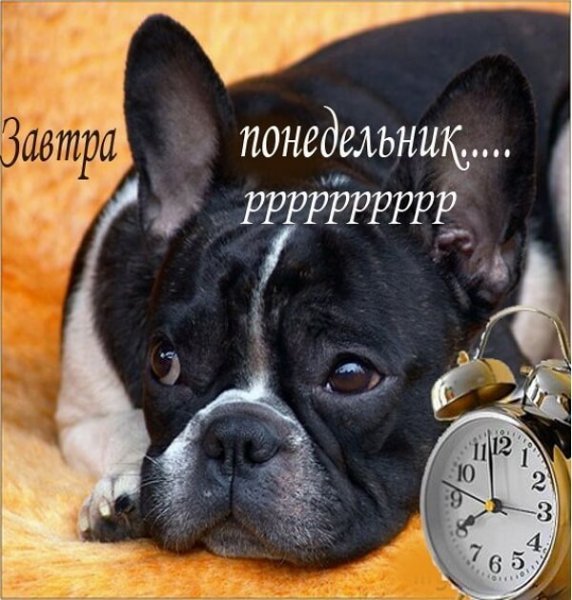 Открытки с понедельником