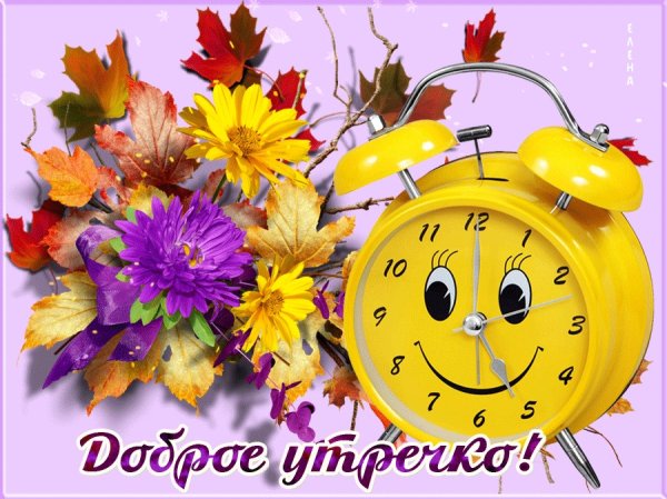 Здравствуй утро доброе