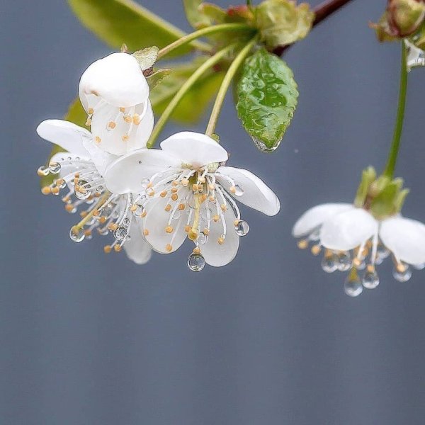 Доброе утро берегите себя