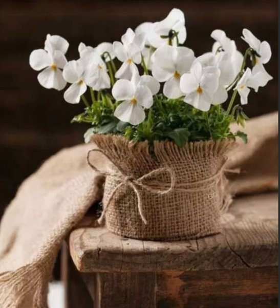 Доброго дня душевного тепла