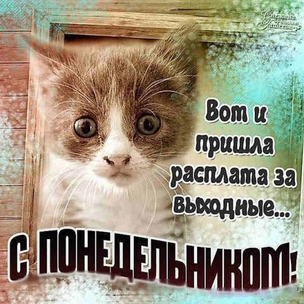 Понедельник приколы